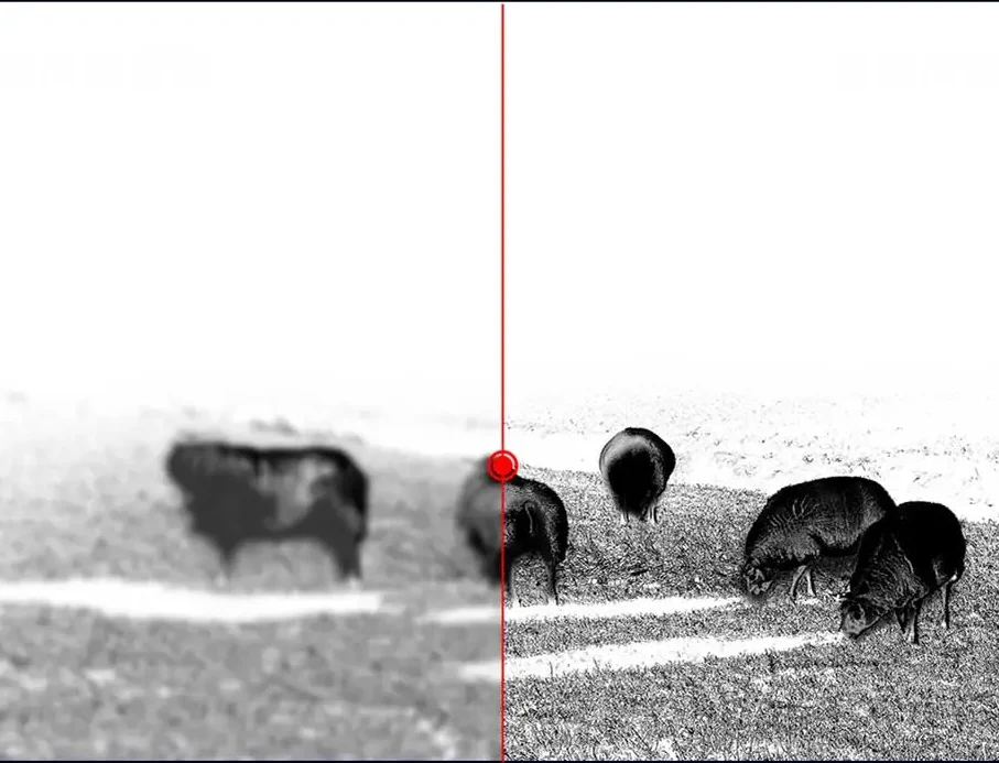 Top Benefits of Adjustable Zoom Night Vision Telescopes for Hunting and Camping